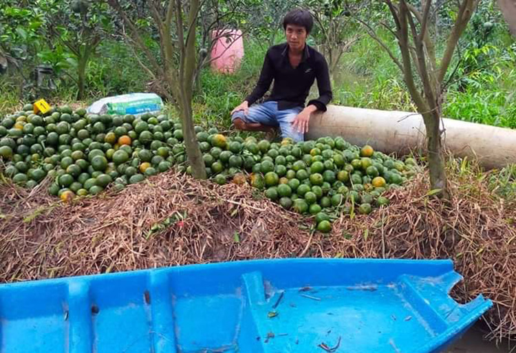 thanh-trom-cam-vl-9203-1684299746 Bùi Tấn Thành cùng số cam và chiếc xuồng lấy trộm. Ảnh: An Bình