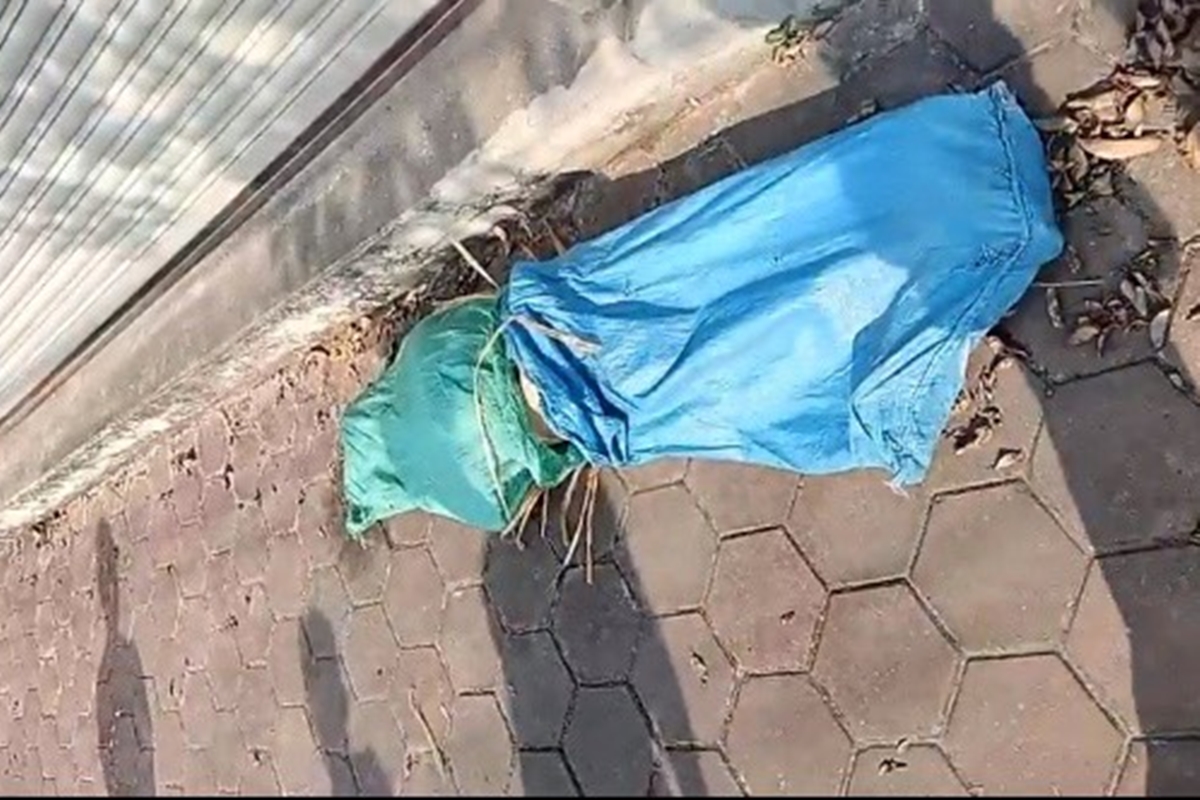 an-6971-1686393500 Thi thể trong hai bao tải vứt cửa nhà dân ở Hải Phòng. Ảnh Xuân Hoa