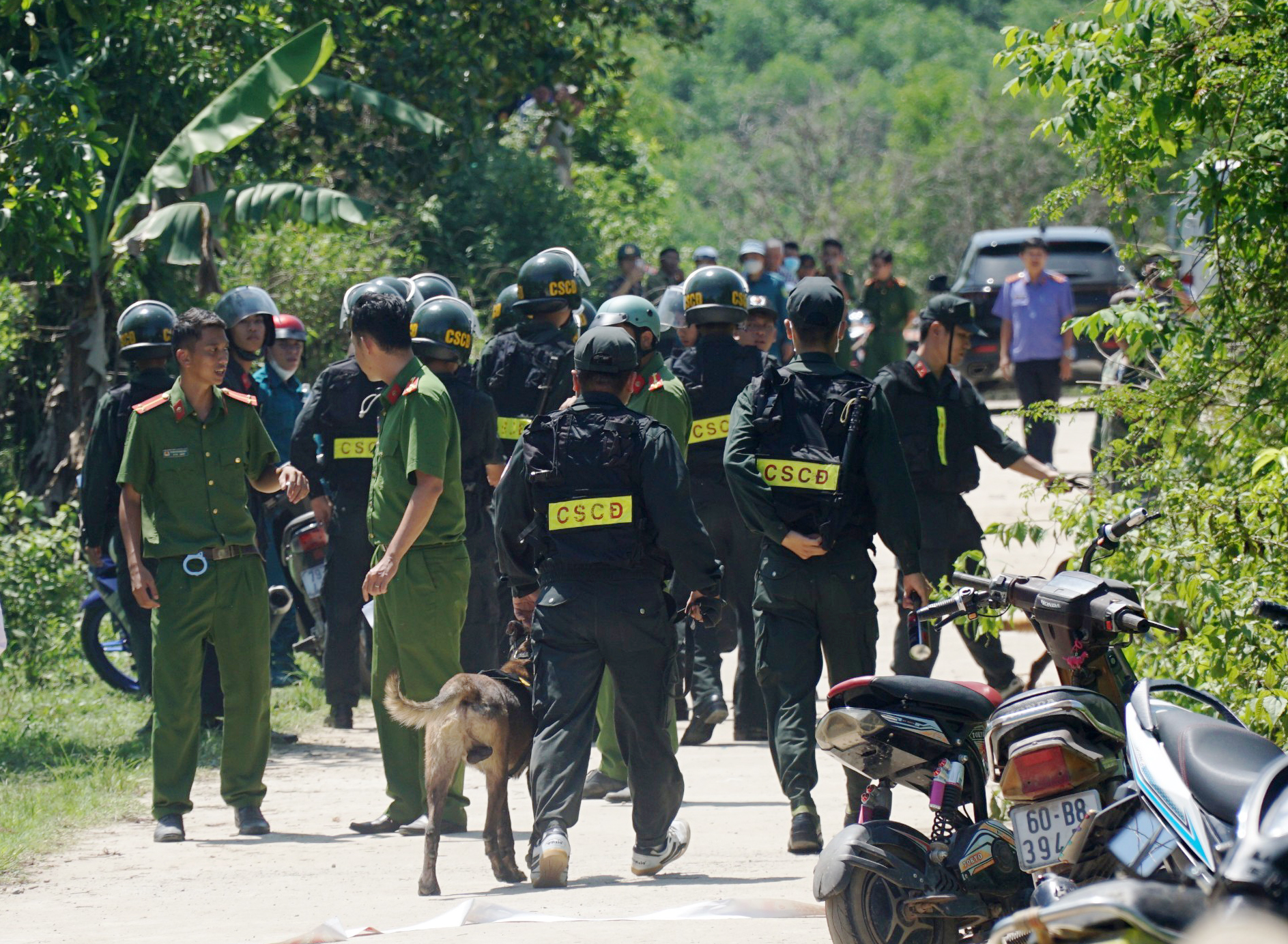 an-mang-3-1583-1685678617 Hàng chục cảnh sát cơ động đưa chó nghiệp vụ đến hiện trường, truy bắt hung thủ. Ảnh: Bùi Toàn
