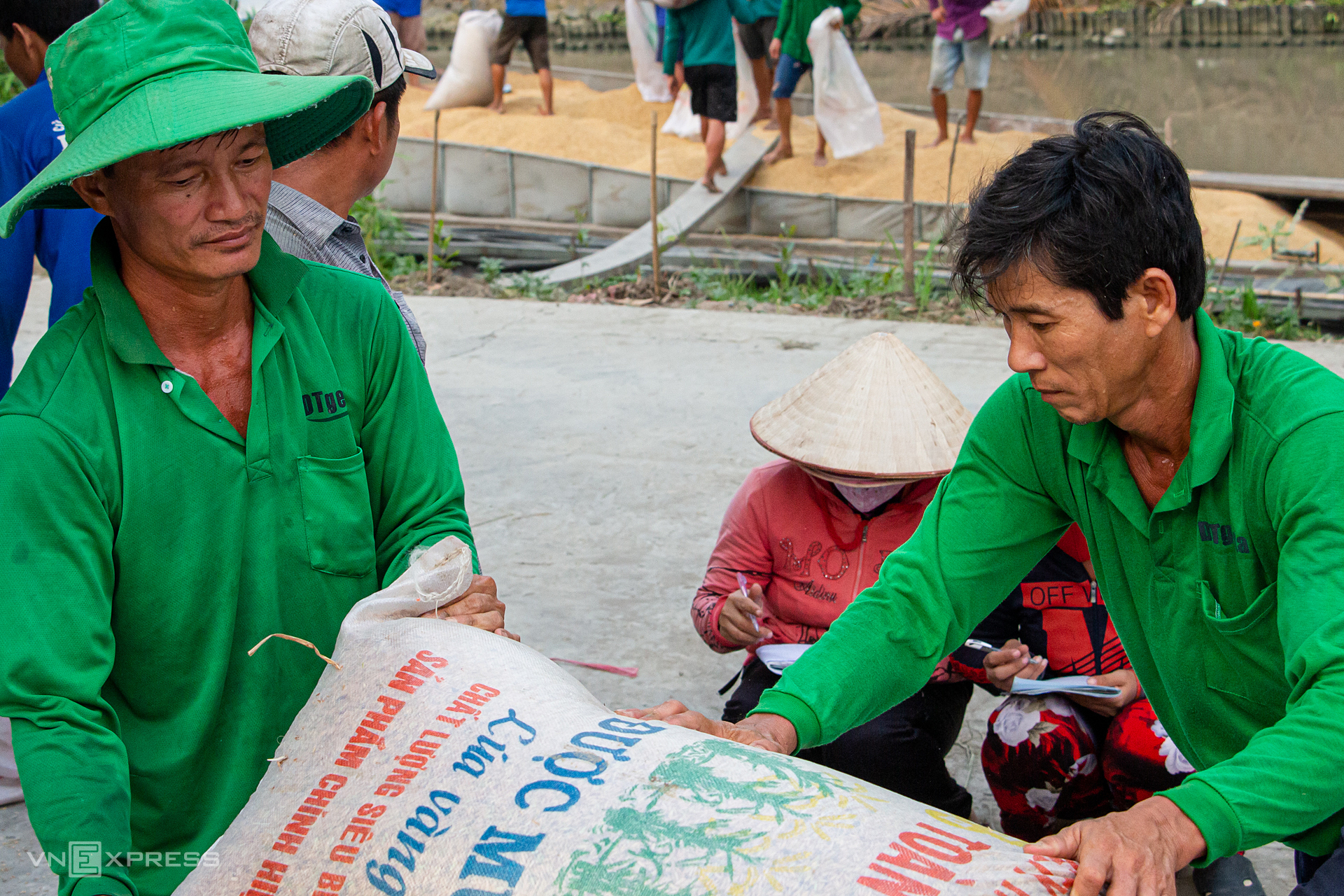 img-6043-1685605769-4750-1685605858 Nông dân tại Cần Thơ thu hoạch lúa vụ Đông Xuân. Ảnh: Thanh Trần