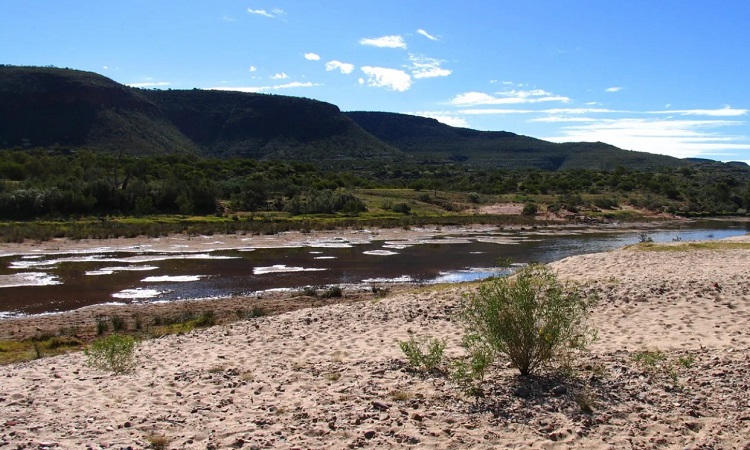 vne-river-8591-1685615263 Sông Finke cạn gần thấy đáy trong phần lớn thời gian trong năm. Ảnh: Wikimedia