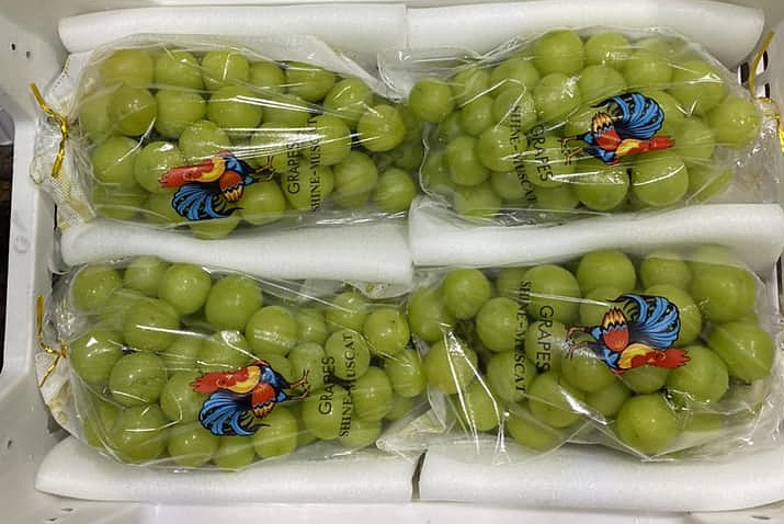 nho-mau-don-jpeg-1692693301-3168-1692694860 Nho mẫu đơn được đóng trong các thùng nhựa nhập về chợ TP HCM. Ảnh: Linh Đan
