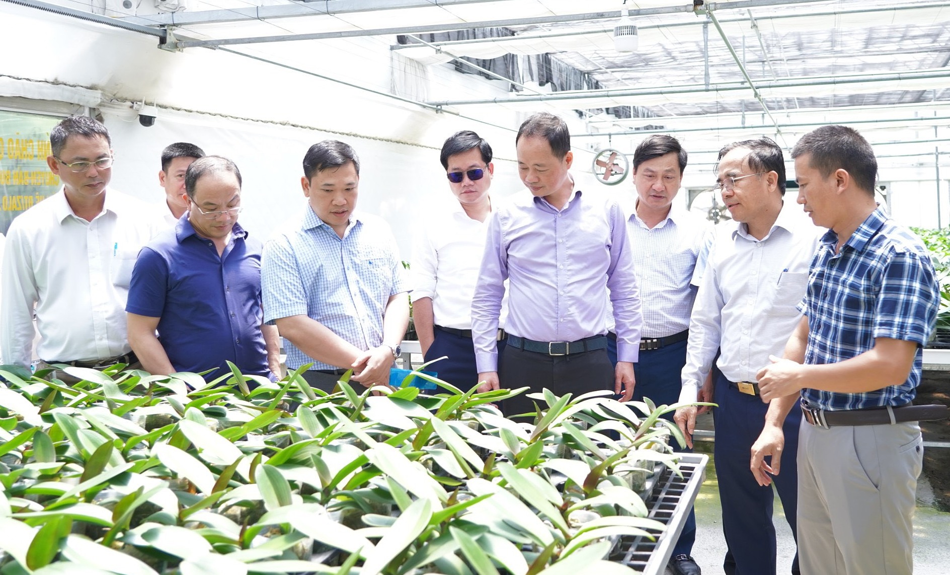 Thứ trưởng Trần Hồng Thái cùng đoàn công tác tham quan mô hình nông nghiệp công nghệ cao sản xuất Lan Hồ điệp tại xã Thạch Khê, huyện Thạch Hà ngày 28/6. Ảnh:TTTT