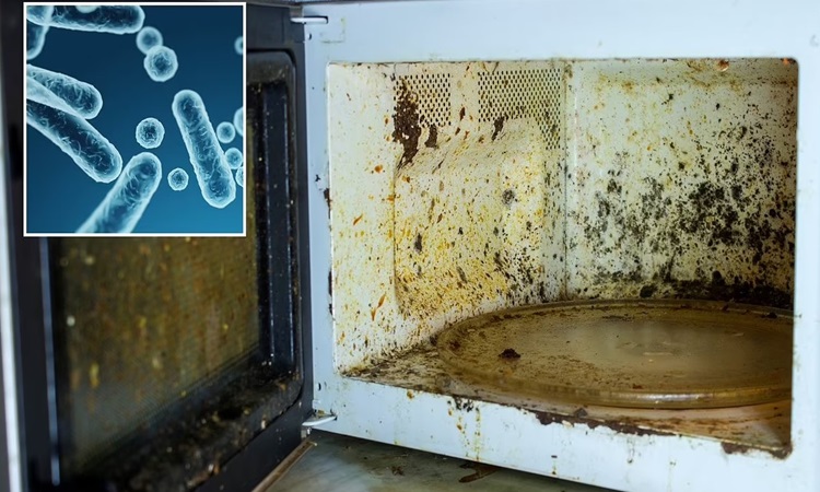 Nhóm nghiên cứu khuyến cao vệ sinh lò vi sóng thường xuyên để ngăn vi khuẩn phát triển. Ảnh: Chost Bear