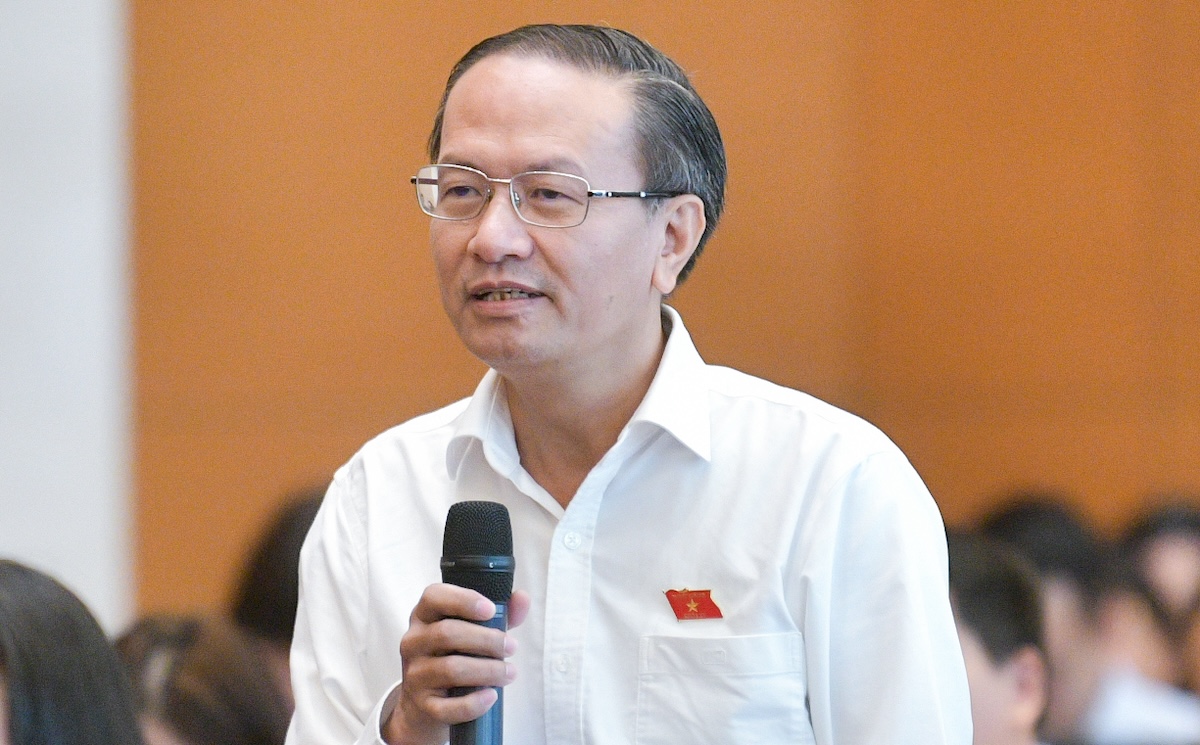 Ông Đinh Ngọc Minh, Ủy viên chuyên trách Ủy ban Kinh tế, phát biểu sáng 29/8. Ảnh: Trung tâm báo chí Quốc hội