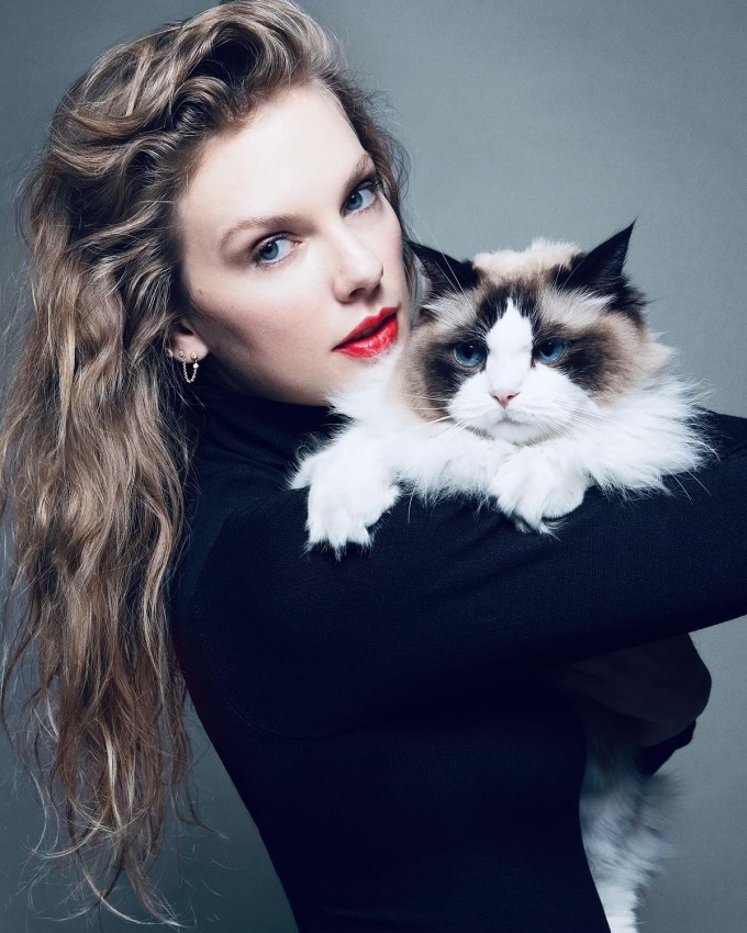 Taylor Swift chụp hình cùng Benjamin - một trong ba mèo cưng của ca sĩ. Ảnh: Instagram Taylor Swift