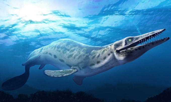 vne-sea-1734175039-7585-1734175078 Hình dáng phục dựng của thương long tiền sử. Ảnh: NRP