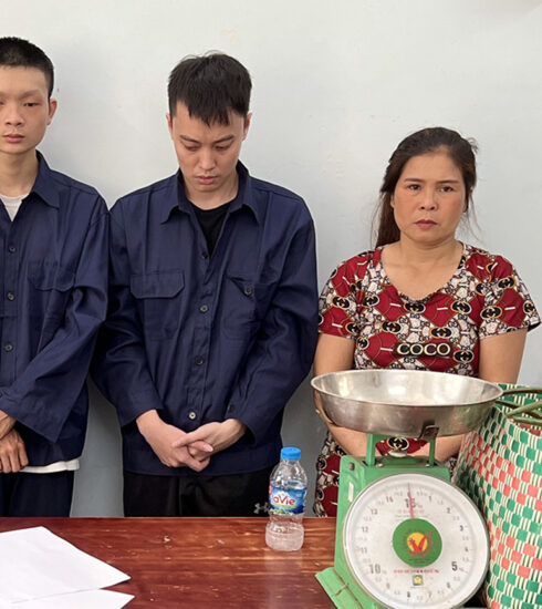 Đường dây cung cấp cần sa ở Sài Gòn