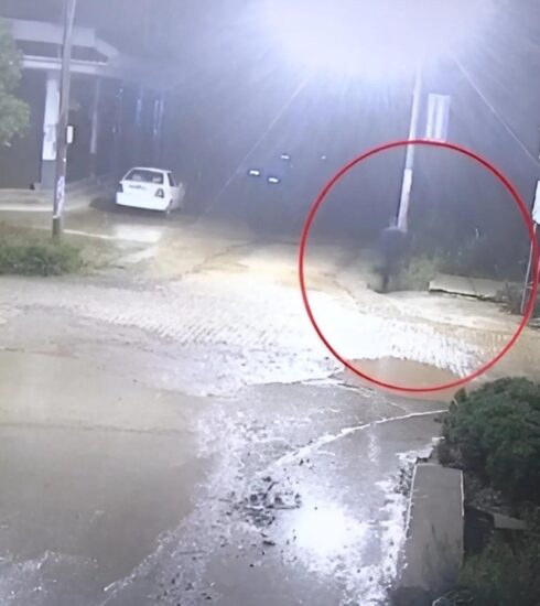 Camera giám sát ghi lại hình ảnh Hà Tử Hoa quay lại lúc nửa đêm. Ảnh: Toutiao