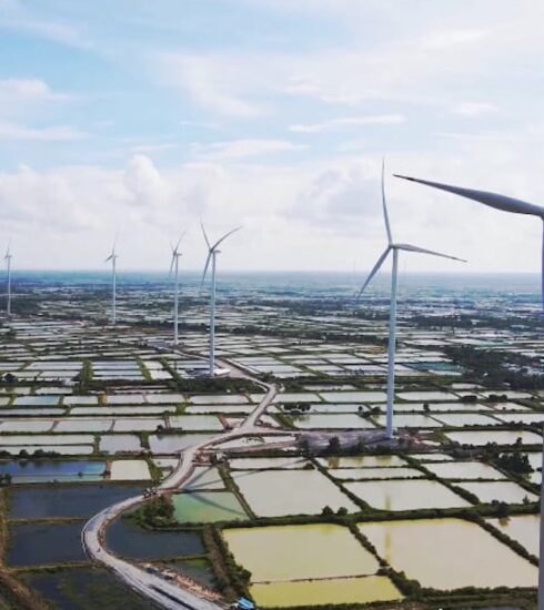 Một dự án điện gió ở Sóc Trăng trong diện chuyển tiếp. Ảnh: Anh Minh