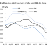 Nguồn: KIS Việt Nam
