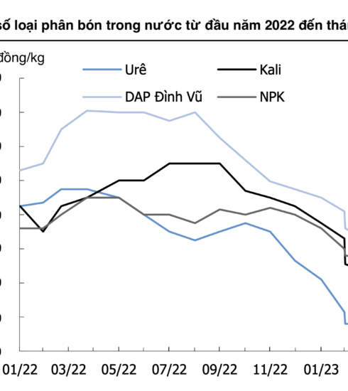 Nguồn: KIS Việt Nam