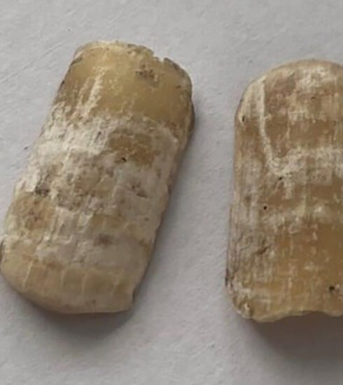 Móng tay giả ở bàn tay của nạn nhân. Ảnh: Yên Khánh