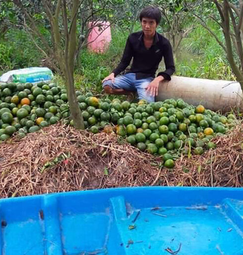 Bùi Tấn Thành cùng số cam và chiếc xuồng lấy trộm. Ảnh: An Bình
