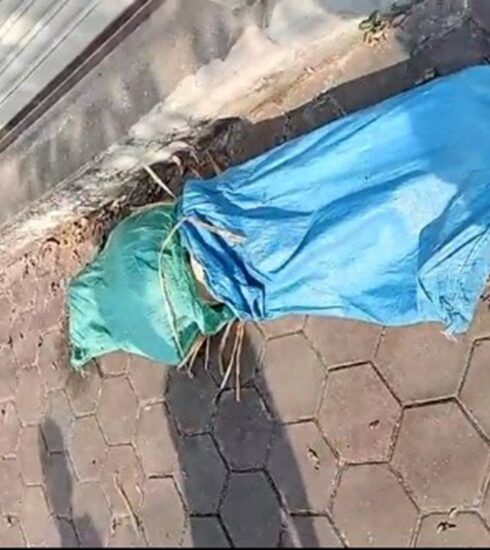 Thi thể trong hai bao tải vứt cửa nhà dân ở Hải Phòng. Ảnh Xuân Hoa