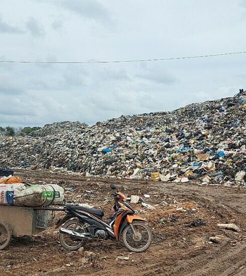 Bãi rác tạm tại Đồng Cây Dương. Ảnh: Dương Đông