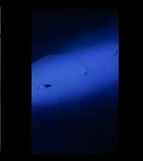 Ba dấu giày tìm thấy ở hiện trường. Ảnh: Toutiao