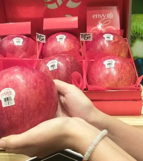 Táo Envy New Zealand được trưng bày tại buổi giới thiệu sản phẩm ở TP HCM. Ảnh: Thi Hà