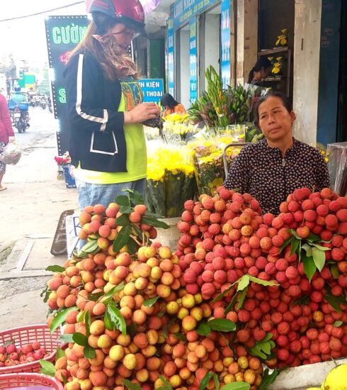 Vải thiều chiếm phần lớn diện tích sạp tại cửa hàng trái cây trên đường Lê Đức Thọ (Gò Vấp). Ảnh: Thi Hà