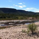 Sông Finke cạn gần thấy đáy trong phần lớn thời gian trong năm. Ảnh: Wikimedia