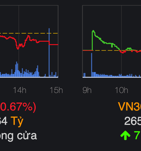 VN-Index chốt phiên 23/8 giảm gần 8 điểm. Ảnh: VNDirect
