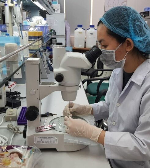 Nghiên cứu khoa học tại Đại học Quốc tế - Đại học Quốc gia TP HCM. Ảnh:Văn Tân