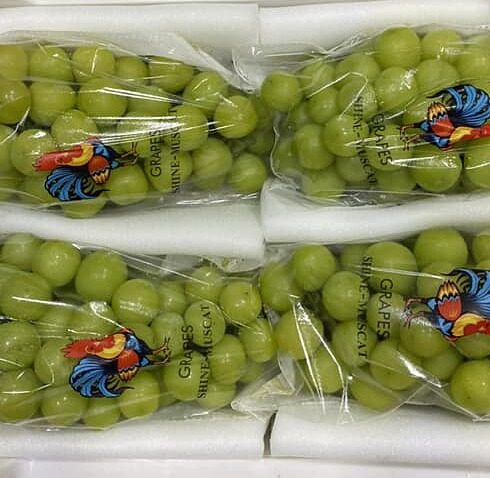 Nho mẫu đơn được đóng trong các thùng nhựa nhập về chợ TP HCM. Ảnh: Linh Đan