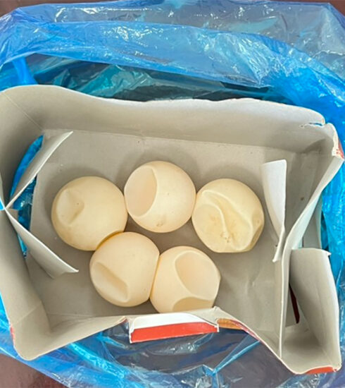 Số trứng được phát hiện trong hành lý của người phụ nữ. Ảnh:Hắc Minh