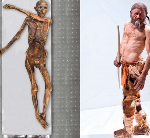 Xác ướp của Người băng Ötzi và hình ảnh phục dựng trước đây. Ảnh: Ancient Origins