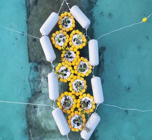 Hệ thống giúp dẫn cát tích tụ của MIT. Ảnh: Design Boom