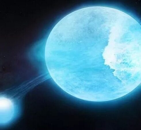 Ngôi sao chính biến dạng thành hình cầu dẹt trong hệ MACHO 80.7443.1718. Ảnh: CfA