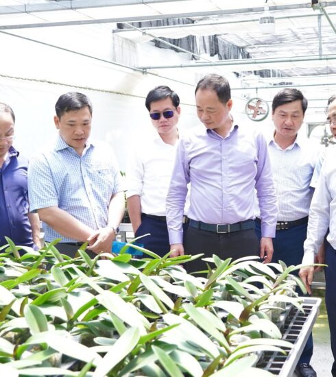 Thứ trưởng Trần Hồng Thái cùng đoàn công tác tham quan mô hình nông nghiệp công nghệ cao sản xuất Lan Hồ điệp tại xã Thạch Khê, huyện Thạch Hà ngày 28/6. Ảnh:TTTT