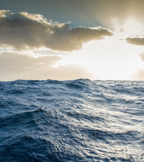 Các điều kiện ở một vùng đại dương tương đối nhỏ cũng có thể ảnh hưởng sâu rộng đến những mô hình khí hậu và thời tiết trên thế giới. Ảnh: Shane Bartie