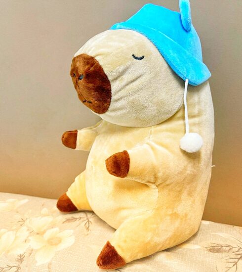 Một con chuột bông Capybara phiên bản đơn giản và giá thấp tại nhà người mua. Ảnh: Trọng Tiến