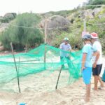 Người dân khoanh lưới bảo vệ rùa biển vào đảo Cù Lao Xanh, Bình Định, ngày 15/7. Ảnh: Nhơn Châu