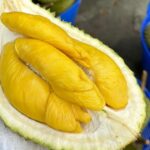 Musang King ở nhà vườn Cần Thơ. Ảnh: Hội mua bán sầu riêng