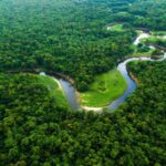 Rừng Amazon ở Nam Mỹ nhìn từ trên cao. Ảnh: Wikipedia