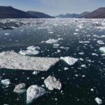 Những núi băng trôi dọc vịnh Scoresby Sound ở Đông Greenland. Ảnh: Olivier Marin/AFP