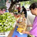 Một cửa hàng bán đồ cúng lễ ở chợ Nghĩa Tân (Cầu Giấy, Hà Nội) hôm 1/8. Cửa hàng bán đồ lễ quanh năm nhưng đông vào các dịp rằm, mùng 1, đặc biệt vào tháng 7. Ảnh: Phan Dương