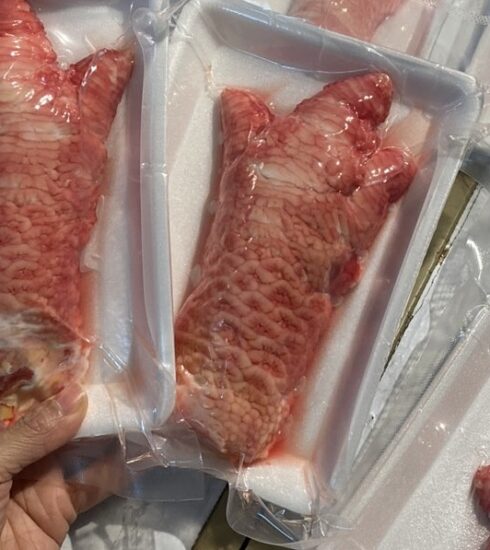 Chân gà Đông Tảo khủng tại cửa hàng Cô Vân. Ảnh: Cô Vân