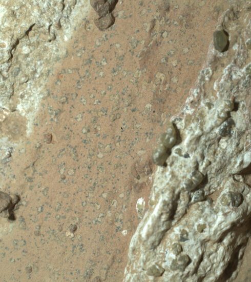 Robot Perseverance của NASA chụp ảnh tảng đá Cheyava Falls trên sao Hỏa vào tháng 7/2024. Ảnh: NASA/JPL-Caltech/MSSS