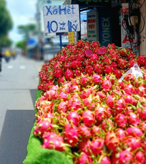 Thanh long bán trên đường Phạm Ngũ Lão (quận Gò Vấp). Ảnh: Hồng Châu