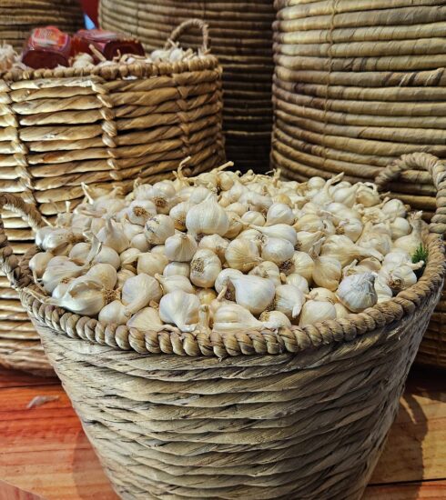 Tỏi Lý Sơn được trưng bày tại tuần lễ nâng tầm đặc sản tỏi Lý Sơn ở TP HCM ngày 17/8. Ảnh: Thi Hà