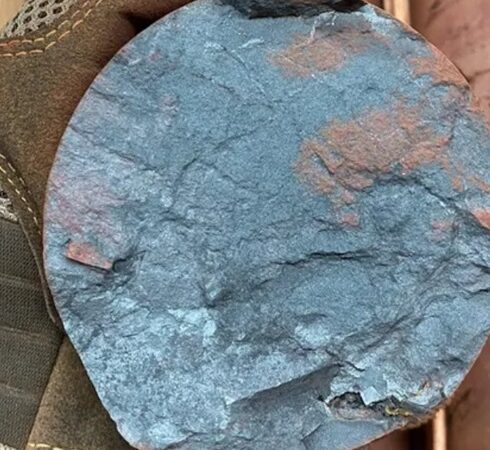 Một lõi quặng sắt 1,3 tỷ năm từ tỉnh Hamersley. Ảnh: Liam Courtney-Davies