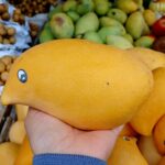 Giống xoài mỏ qụa được bàn đầy các cửa hàng và chợ truyền thống. Ảnh: Thi Hà