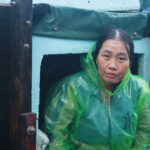 Chị Nan trồng trong thùng cá, nơi chị và chồng đã trốn trong đó khoảng 20 giờ khi bão Yagi phá hủy tất cả. Ảnh: Phan Dương