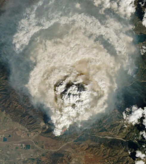 Mây lửa pyrocumulus hình thành trên đám cháy Line Fire, California. Ảnh: NASA