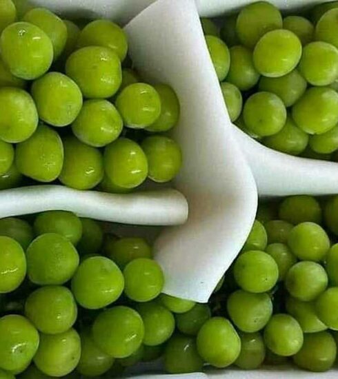 Rành 4 kg nho mẫu đơn được bán tại chợ đầu mối nông sản Thủ Đức (TP HCM). Ảnh: Linh Đan