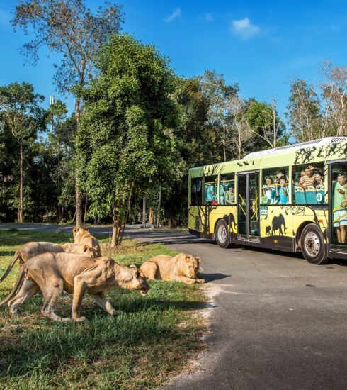 Mô hình nhốt người, thả thú tại vườn thú Vinpearl Safari Phú Quốc. Ảnh: Vinpearl