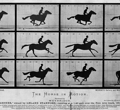 12 bức ảnh nguyên bản chụp ngựa đua Sallie Gardner. Ảnh: Amusing Planet